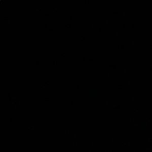 Meet your Posher, Lilly